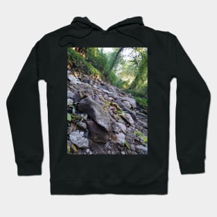 Nature Photo Hoodie